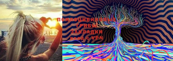прущие крисы Пересвет