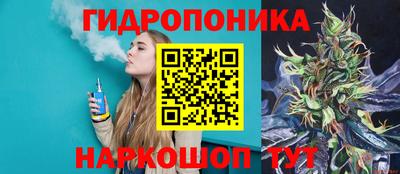 твердый Будённовск