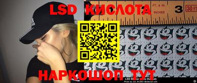 твердый Будённовск