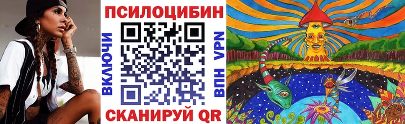 купить наркотик  Санкт-Петербург  Псилоцибиновые грибы Magic Shrooms 