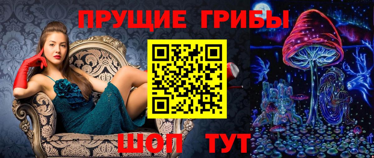Псилоцибиновые грибы GOLDEN TEACHER  Санкт-Петербург 